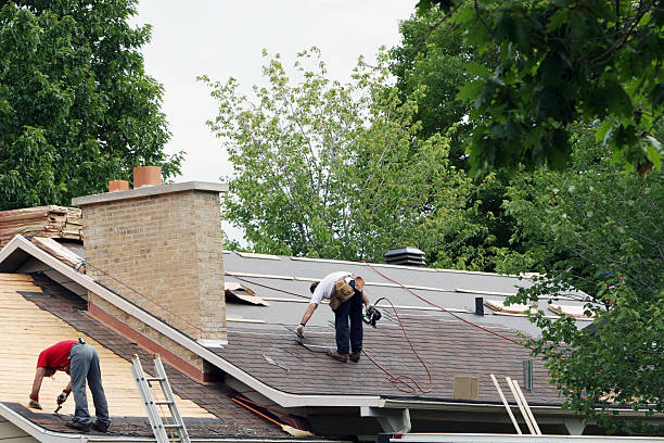 Best Roof Repair Services  in Saxapahaw, NC