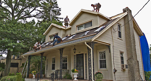 Best Storm Damage Roof Repair  in Saxapahaw, NC